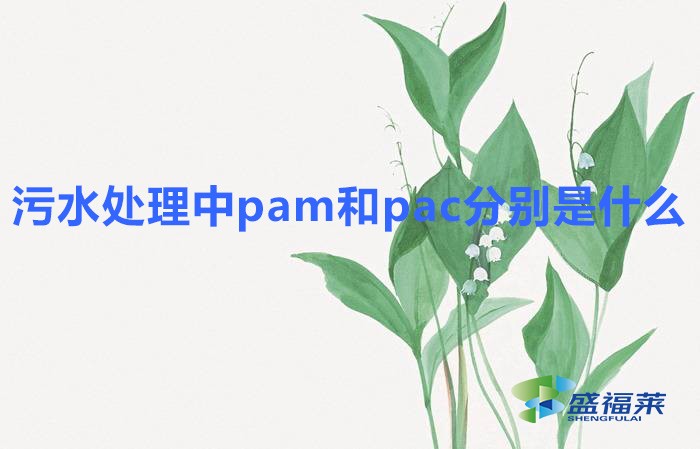 污水处理中pam和pac分别是什么意思