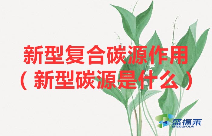 新型复合碳源作用（新型碳源是什么）