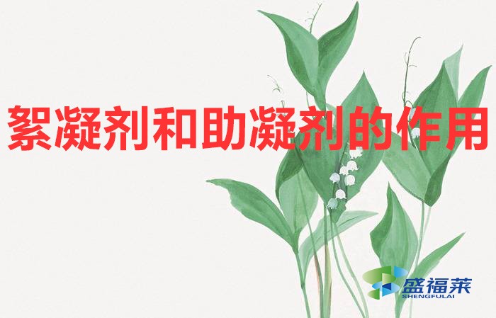 絮凝剂和助凝剂的作用（絮凝剂和助凝剂的区别）