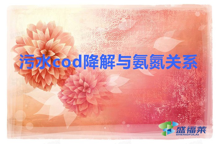 污水cod降解与氨氮关系