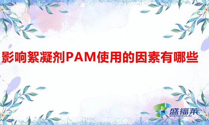 影响絮凝剂PAM使用的因素有哪些?