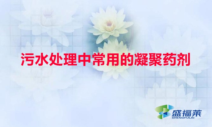 污水处理中常用的凝聚药剂（常用的四种混凝剂有哪些）