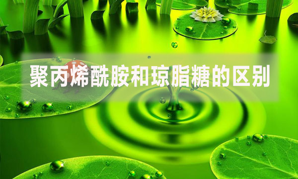 聚丙烯酰胺和琼脂糖的区别