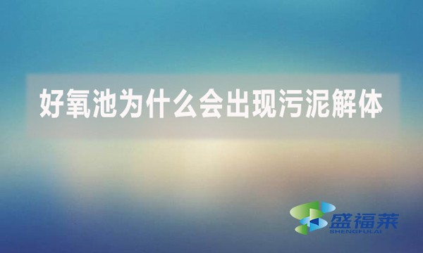 好氧池为什么会出现污泥解体？上清液细碎污泥多是怎么回事？