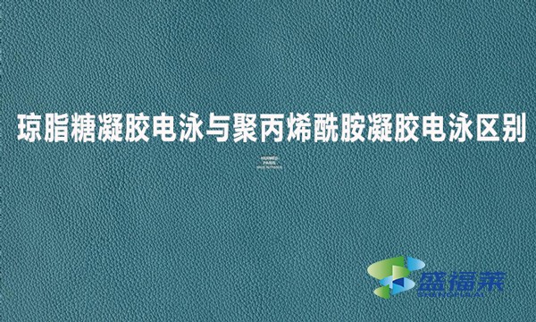 琼脂糖凝胶电泳与聚丙烯酰胺凝胶电泳区别?