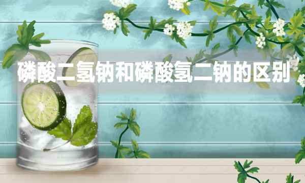 污水处理磷酸二氢钠和磷酸氢二钠的区别是什么？